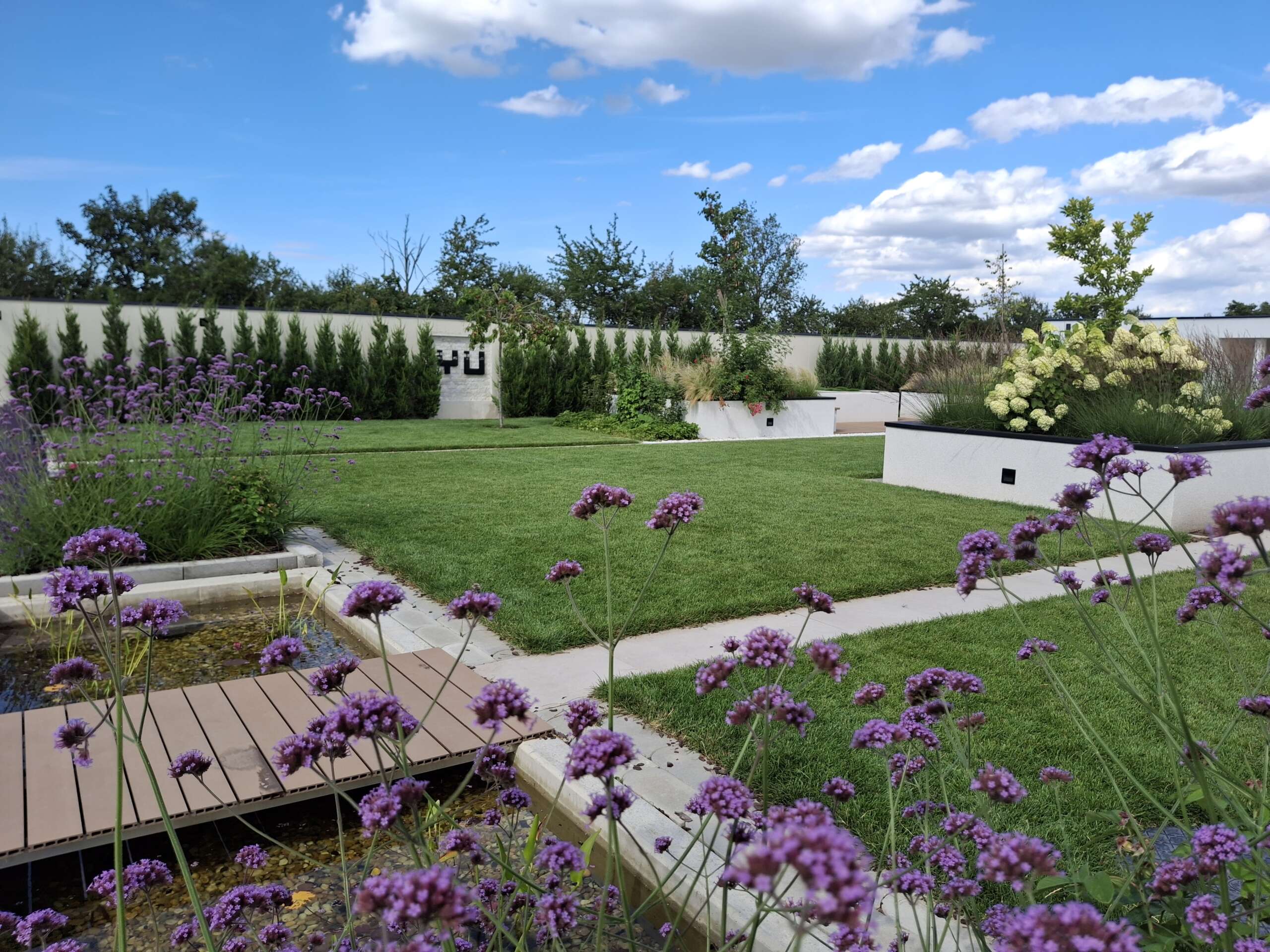 Professionelle Gartengestaltung von Pflanzplan mit Rasenfläche, Wasserbecken, blühenden Stauden, Gräsern und immergrünem Sichtschutz