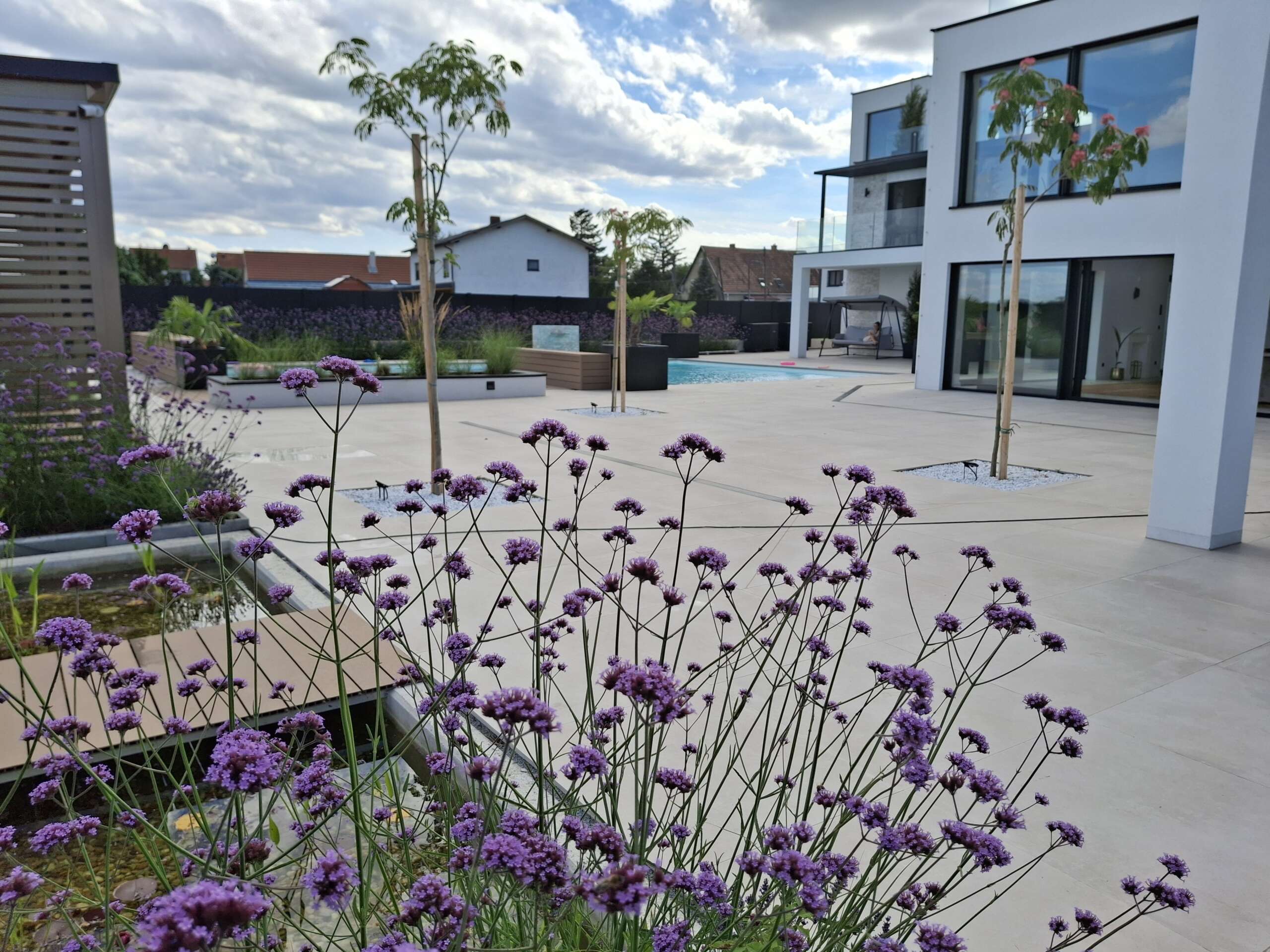 Realisierter moderner Garten von Pflanzplan mit violett blühenden Stauden, Wasserbereich, Terrasse und großzügigen Freiflächen