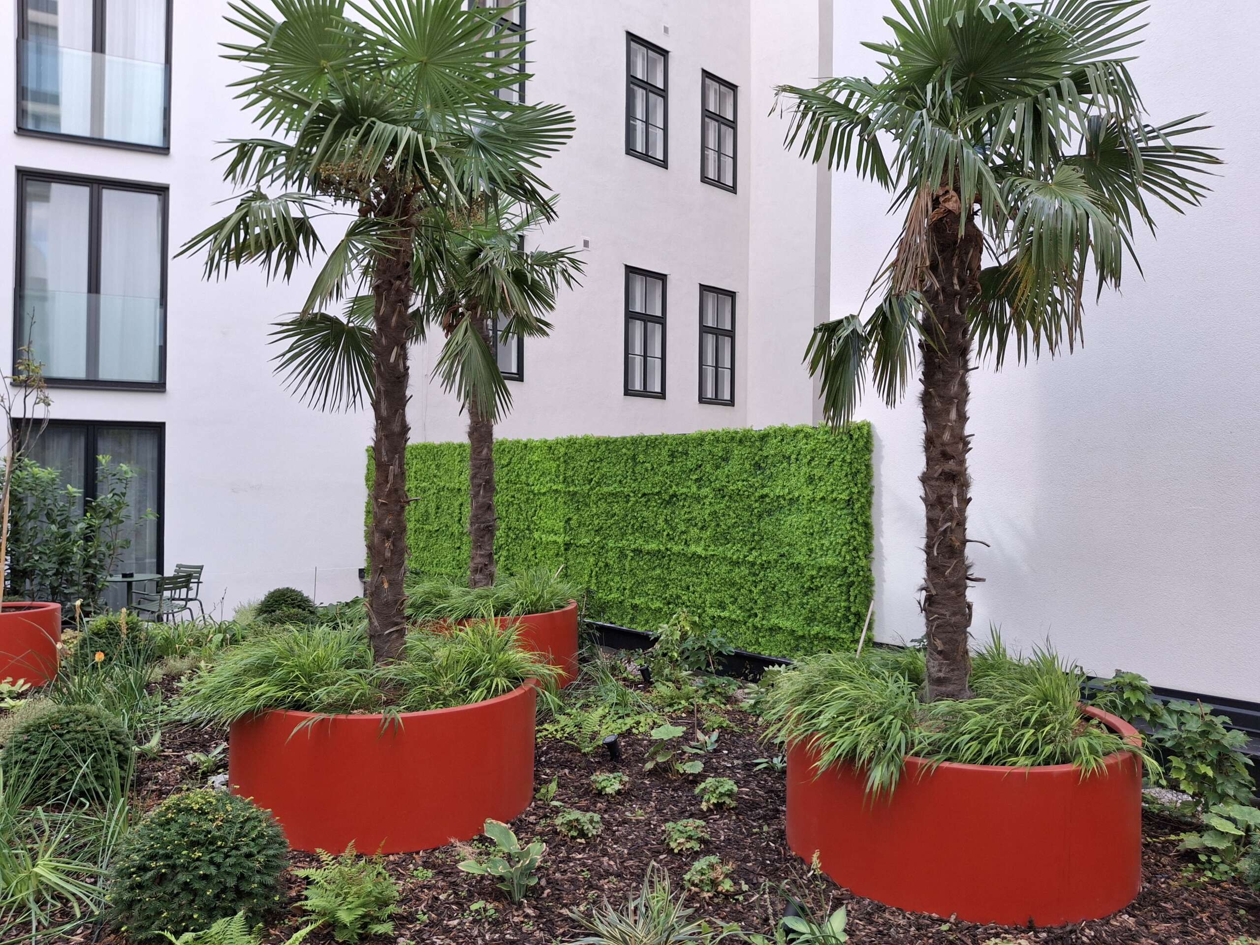 Pflegeleichter grüner Sichtschutz im Garten