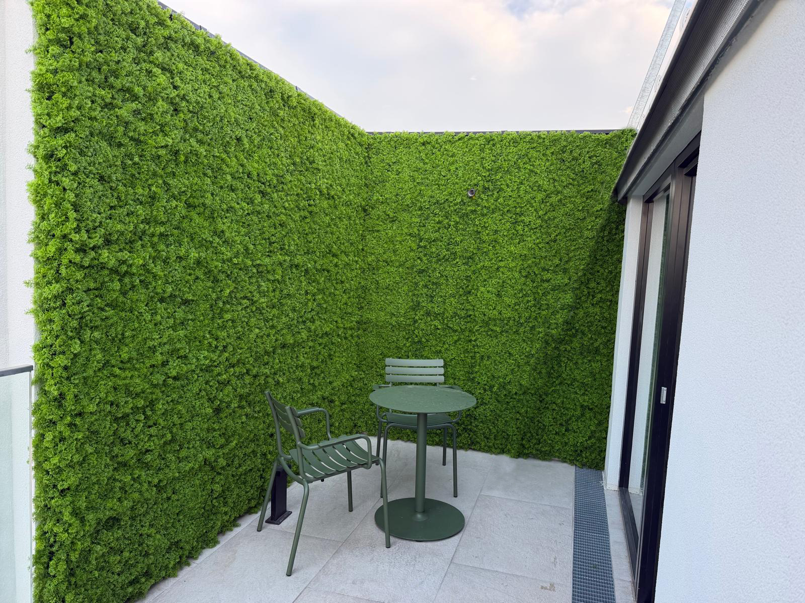 Immergrüne Sichtschutzwand für Terrasse ohne Gießen